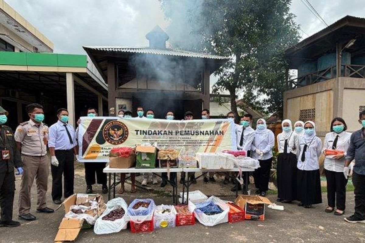 Karantina BKHIT Papua Selatan Musnahkan Kontainer Berisi Buah dan Sayur Rusak di Merauke