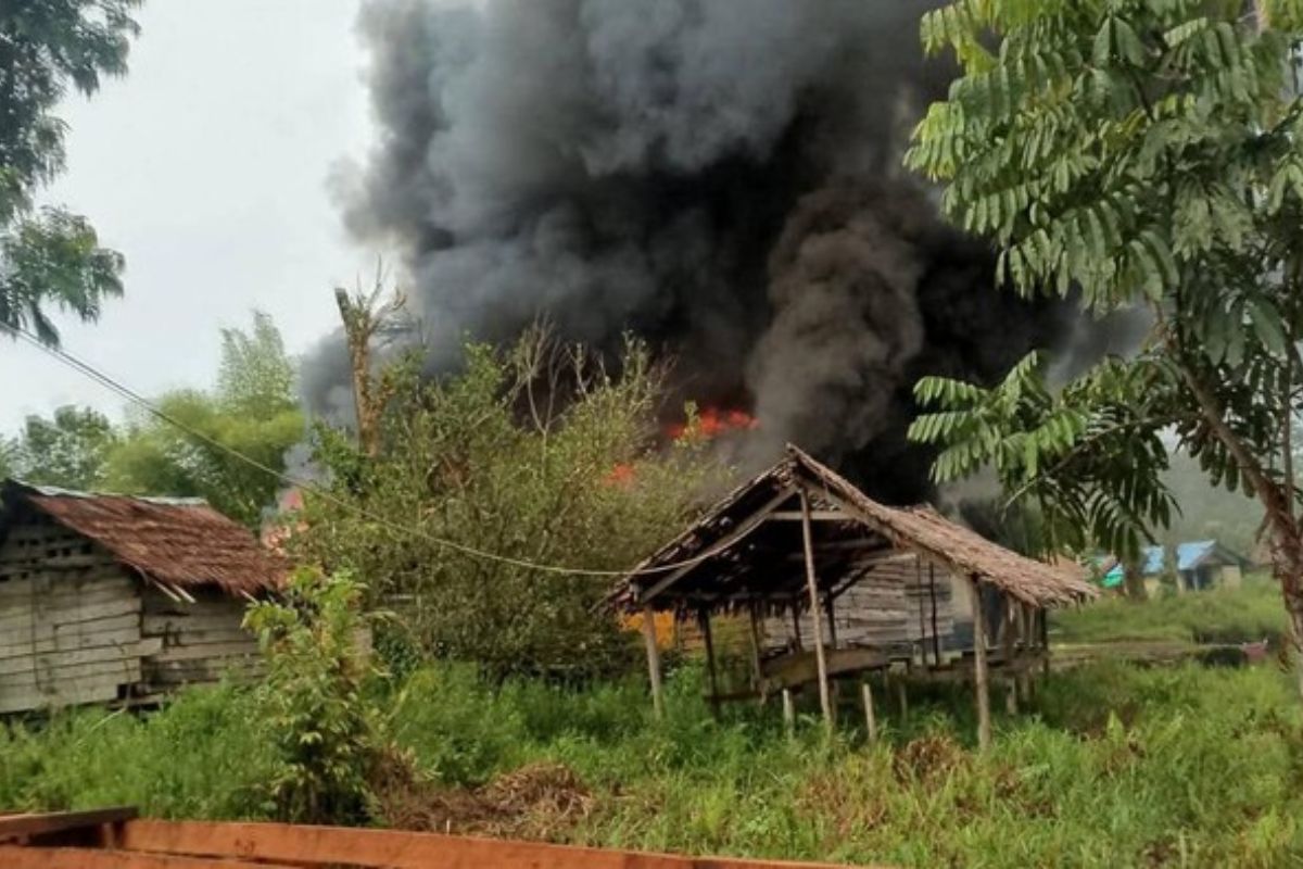 Teror OPM di Asmat, Guru dan Tenaga Kesehatan Tinggalkan Kampung Ulakin