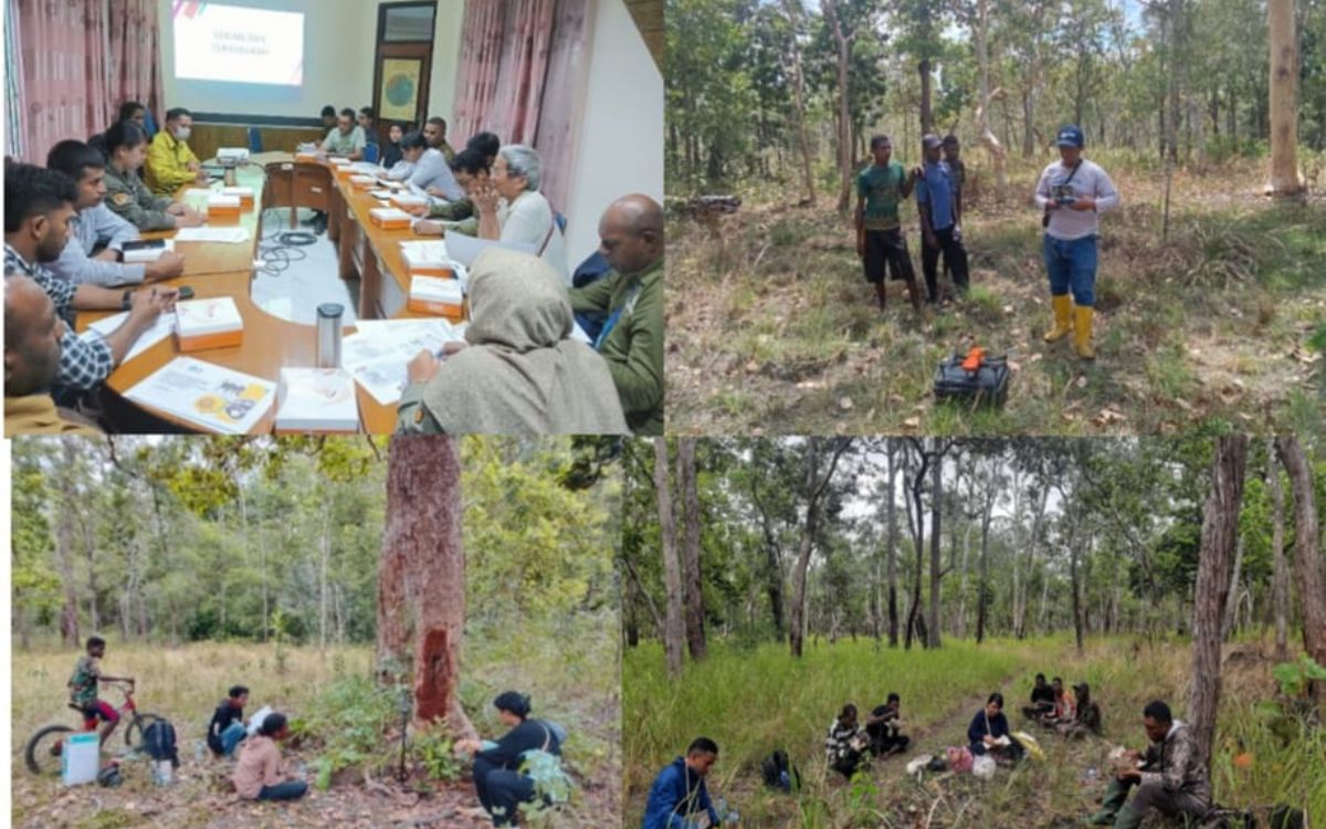 Misteri Si Kecil Tak Bersengat: Mengungkap Keanekaragaman Lebah Endemik di Taman Nasional Wasur, Papua