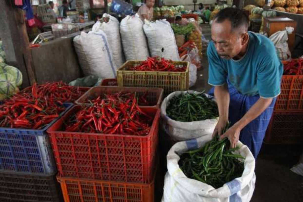 Papua Selatan Catat Inflasi Tertinggi Nasional per Juli 2025