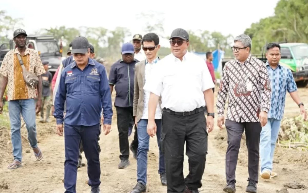 Food Estate Merauke Dipantau DPD RI: Prioritaskan Keberlanjutan dan Kepentingan Warga Papua
