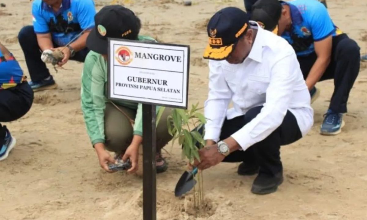 Jaga Ekosistem Merauke, Pemprov Papua Selatan Ajak Warga Lestarikan Mangrove Pantai Payum