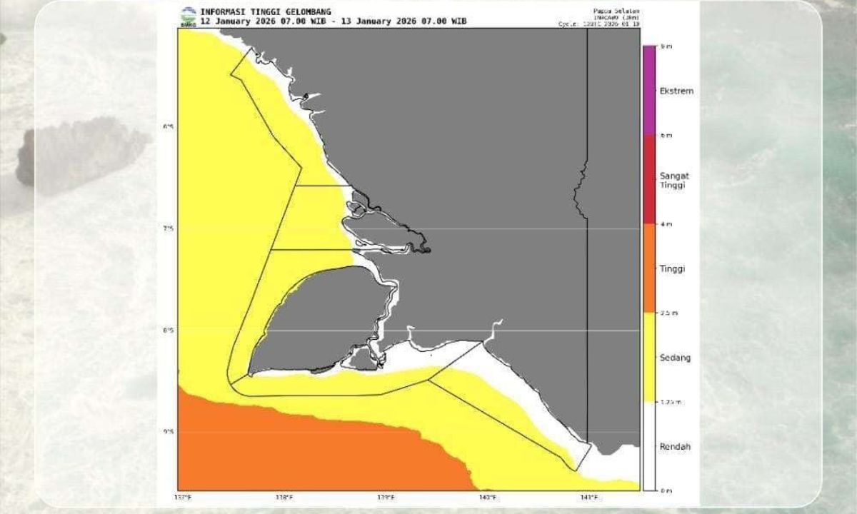 Waspada! Fenomena Tekanan Rendah di Australia Picu Gelombang Tinggi di Perairan Papua Selatan