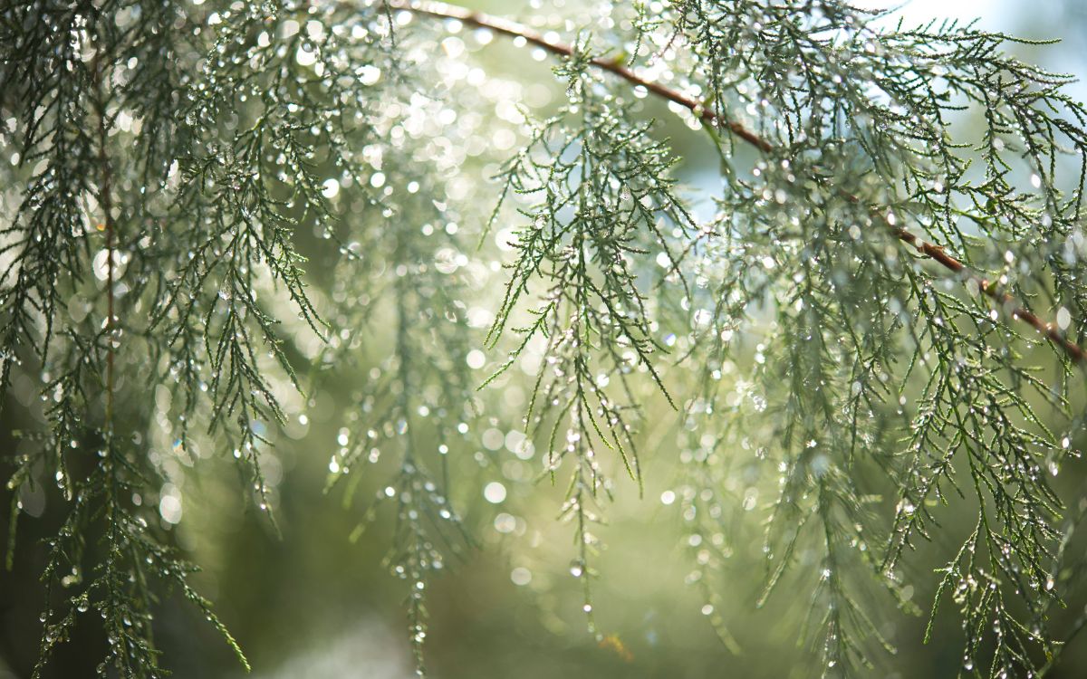 BMKG Merauke Peringatkan Cuaca Ekstrem di Papua Selatan, Ini Wilayah yang Harus Waspada