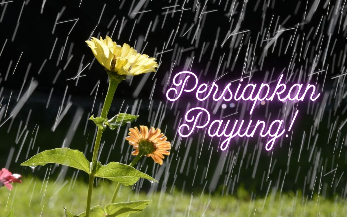 Waspada Hujan Merata di Indonesia: Simak Prakiraan Cuaca BMKG Jumat 27 Maret 2026