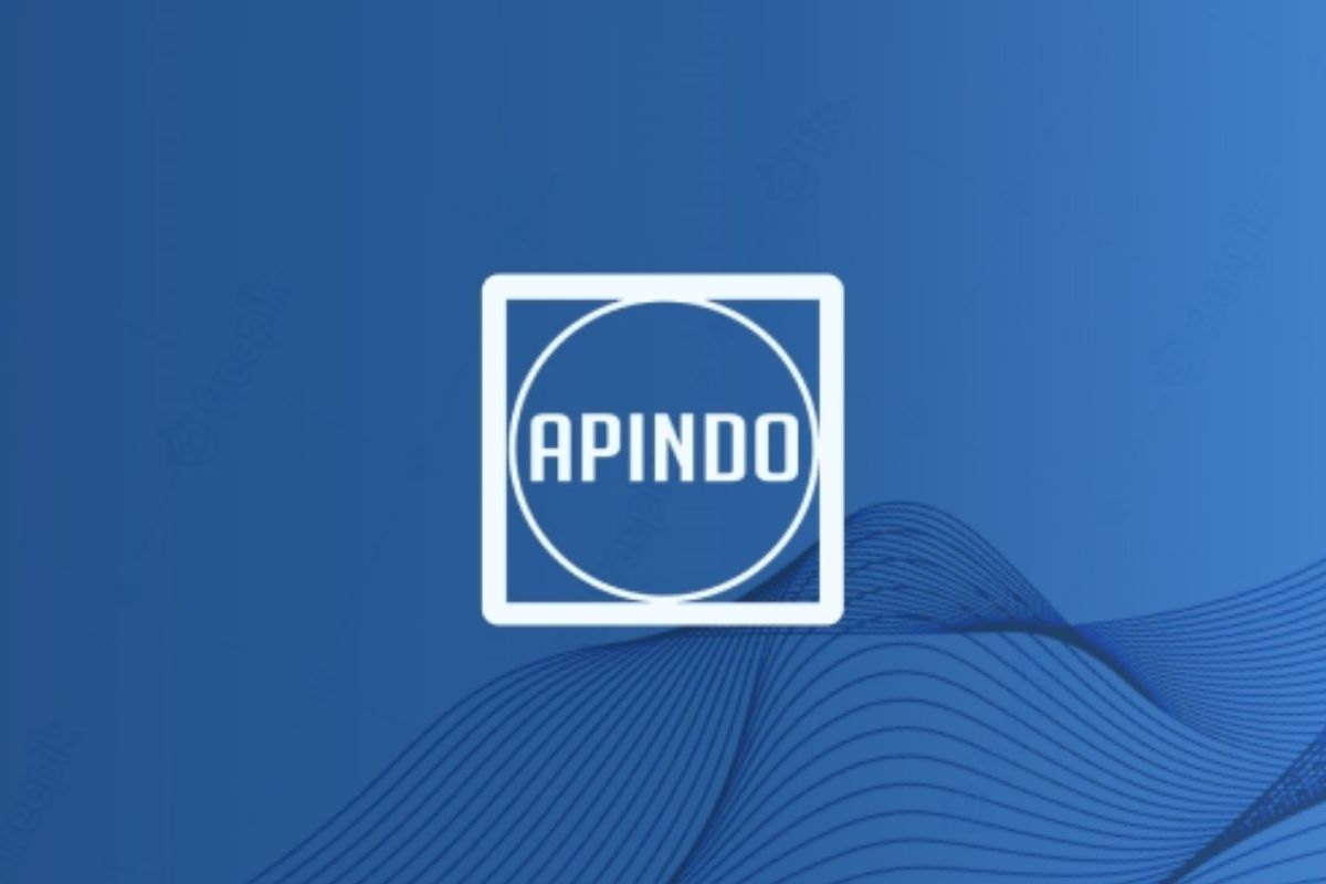 Baru Berdiri, APINDO Papua Selatan Jadi Pimpinan Sidang di Forum Nasional