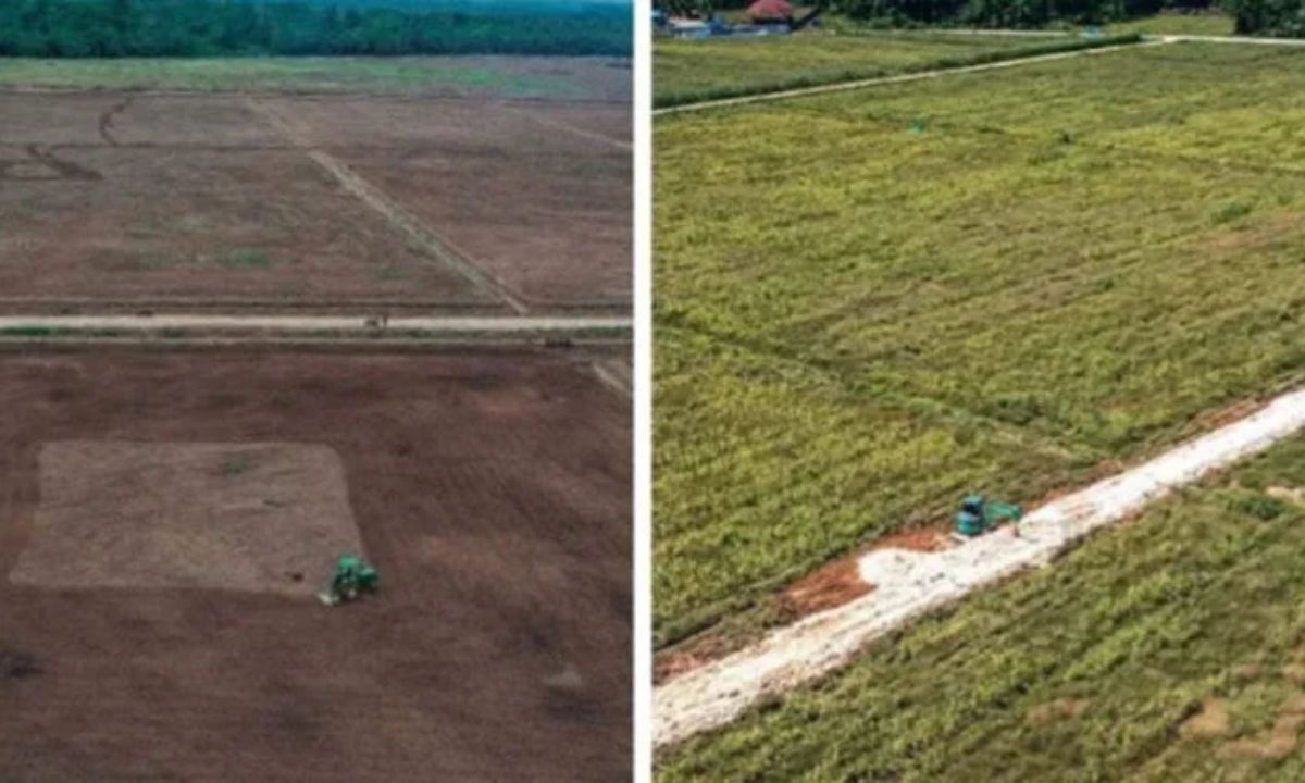 Menembus Rawa Papua: Progres Jalan Wanam-Merauke Kini Capai 58 Kilometer demi Lumbung Pangan