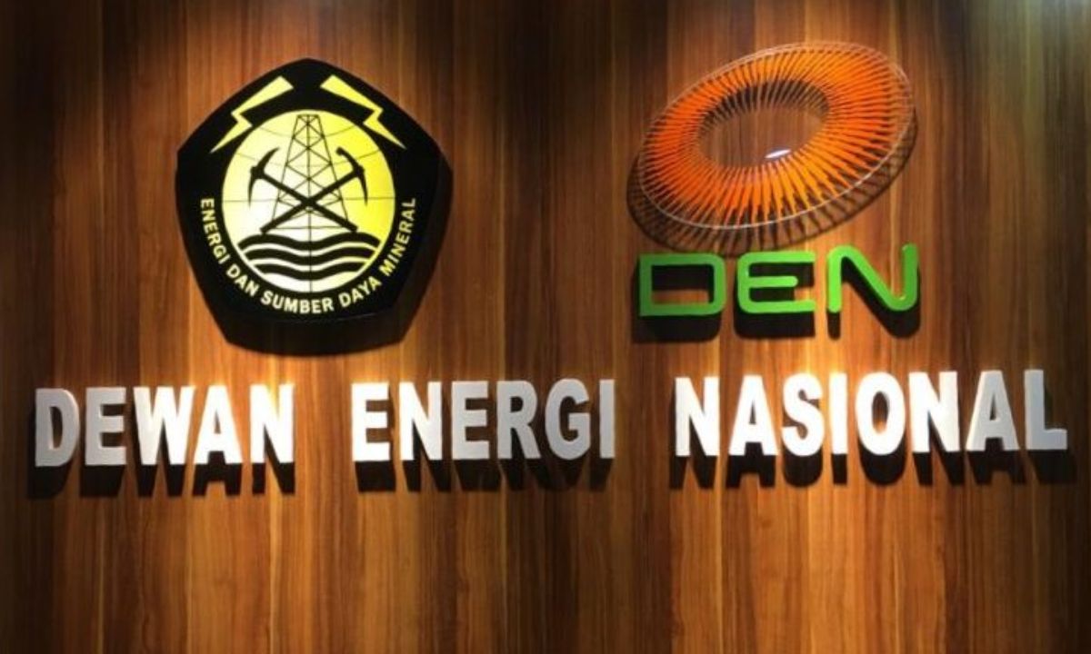 Akselerasi Transisi Energi: Pemprov dan DEN Matangkan Forum Energi Daerah Papua Selatan
