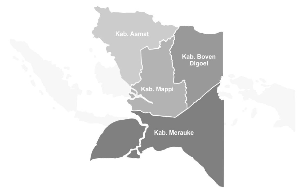 3 Tahun Provinsi Papua Selatan: Dari Perjuangan Dua Dekade hingga Menjadi Daerah Mandiri di Tanah Anim Ha