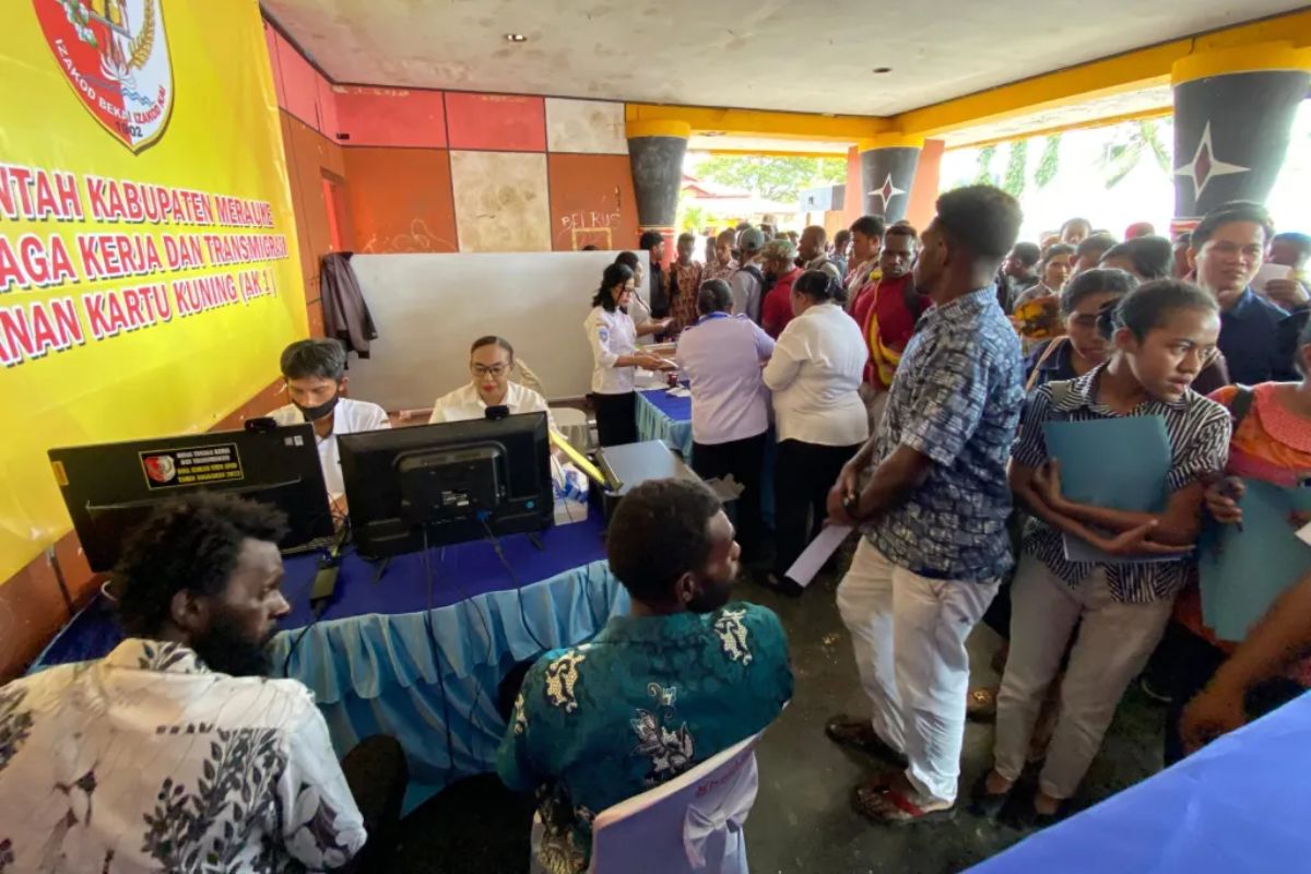 26 Perusahaan Buka Lowongan, Job Fair 2025 Papua Selatan Resmi Dibuka