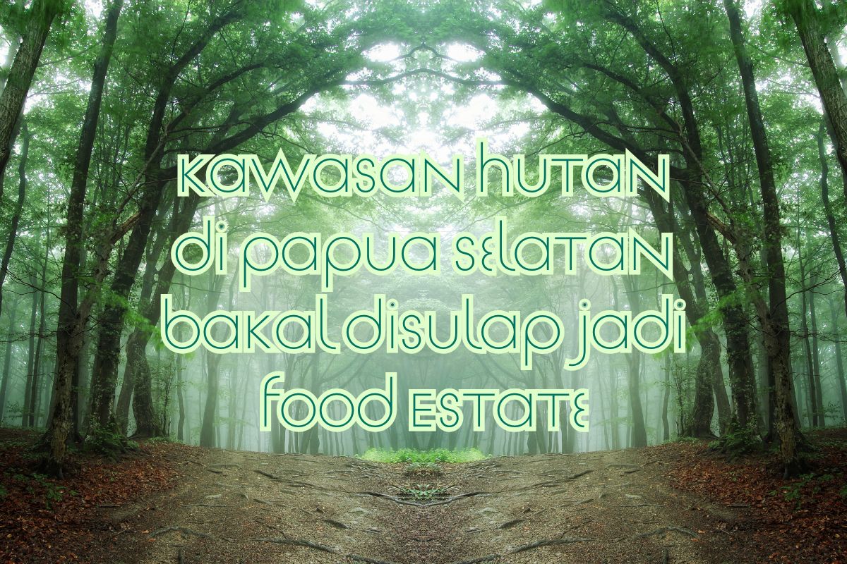Pemerintah Lepas 451 Ribu Hektar Hutan di Merauke untuk Program Swasembada Pangan