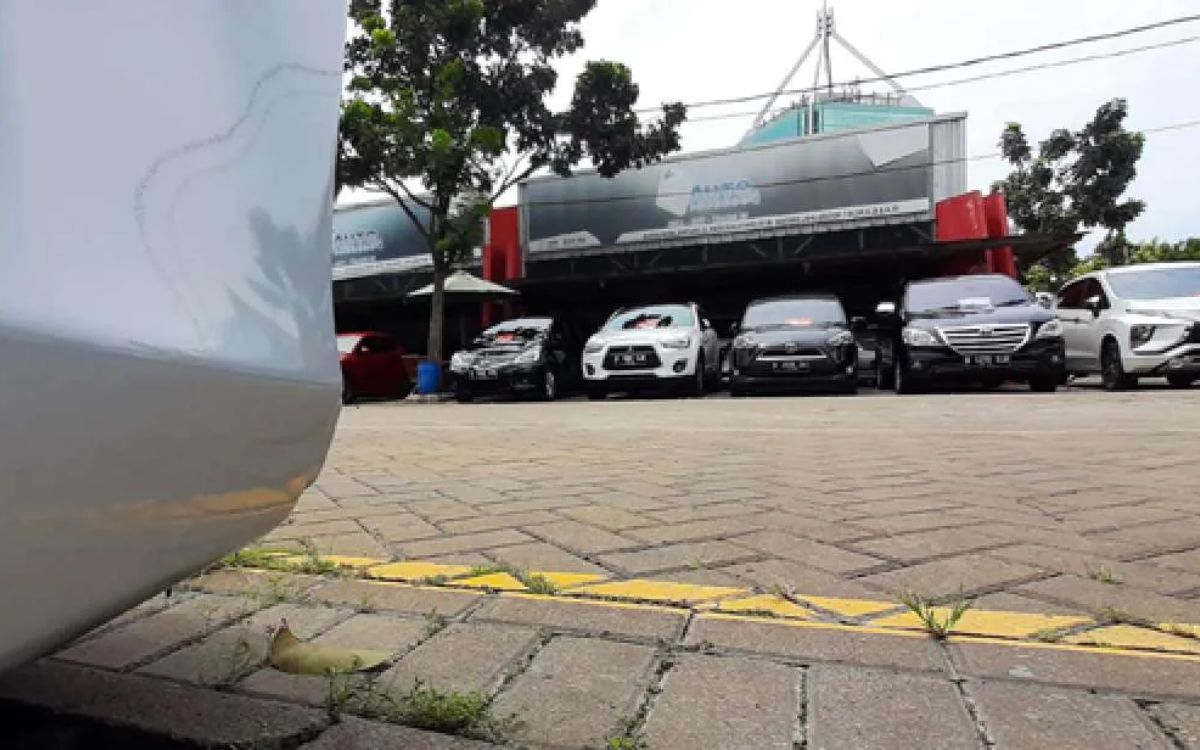 OJK: Papua Selatan Pimpin Pertumbuhan Piutang Pembiayaan Meski Industri Melambat