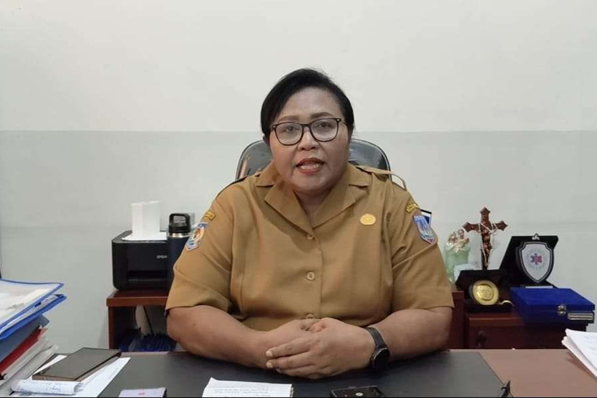 Lewat Skema Rujukan, Dinas Kesehatan Papua Selatan Pastikan Layanan Medis Tetap Inklusif
