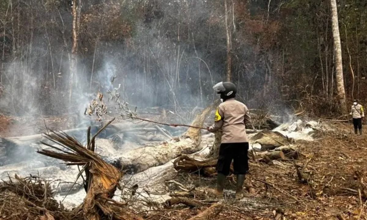 El Nino Bertahan Hingga 2027, BMKG Peringatkan Risiko Karhutla dan Air Bersih