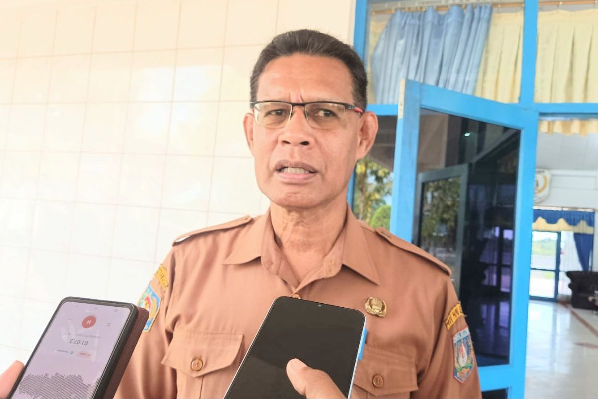 Peluang Baru bagi Pencari Kerja, Job Fair Papua Selatan Buka Lapangan Kerja di Perusahaan