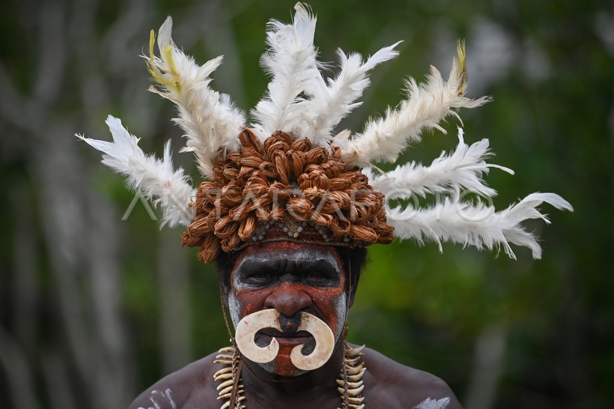 Profil Provinsi Papua Selatan: Fakta Menarik Tentang Daerah Otonomi Baru di Ujung Timur Indonesia