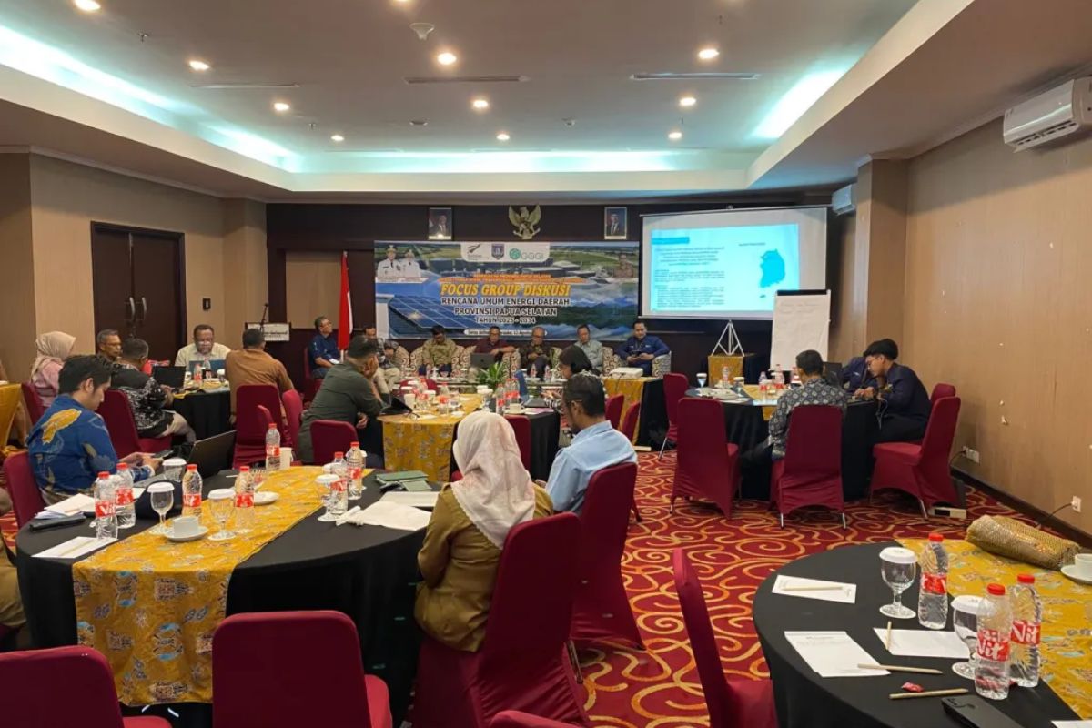 Pemprov Papua Selatan Gelar FGD Bahas Rencana Umum Energi Daerah