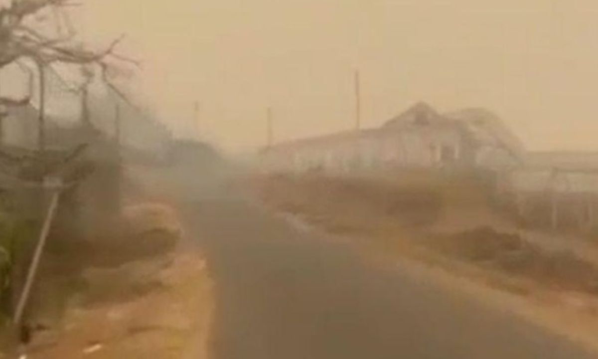Kabut Asap Karhutla Mencekam, Siswa 3 Kabupaten di Papua Selatan Terpaksa Belajar Daring