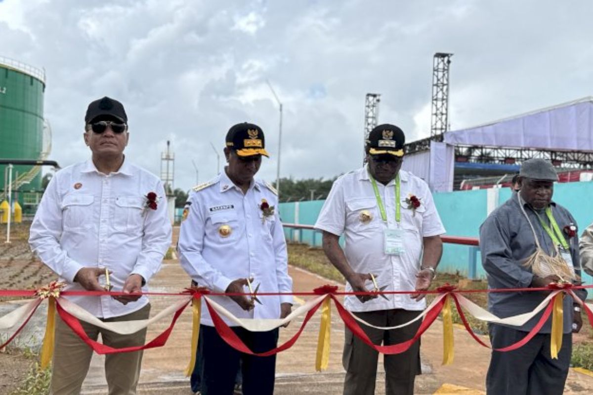 TSE Group Resmikan PLTBg dan CBG Pertama di Papua Selatan, Dorong Energi Ramah Lingkungan