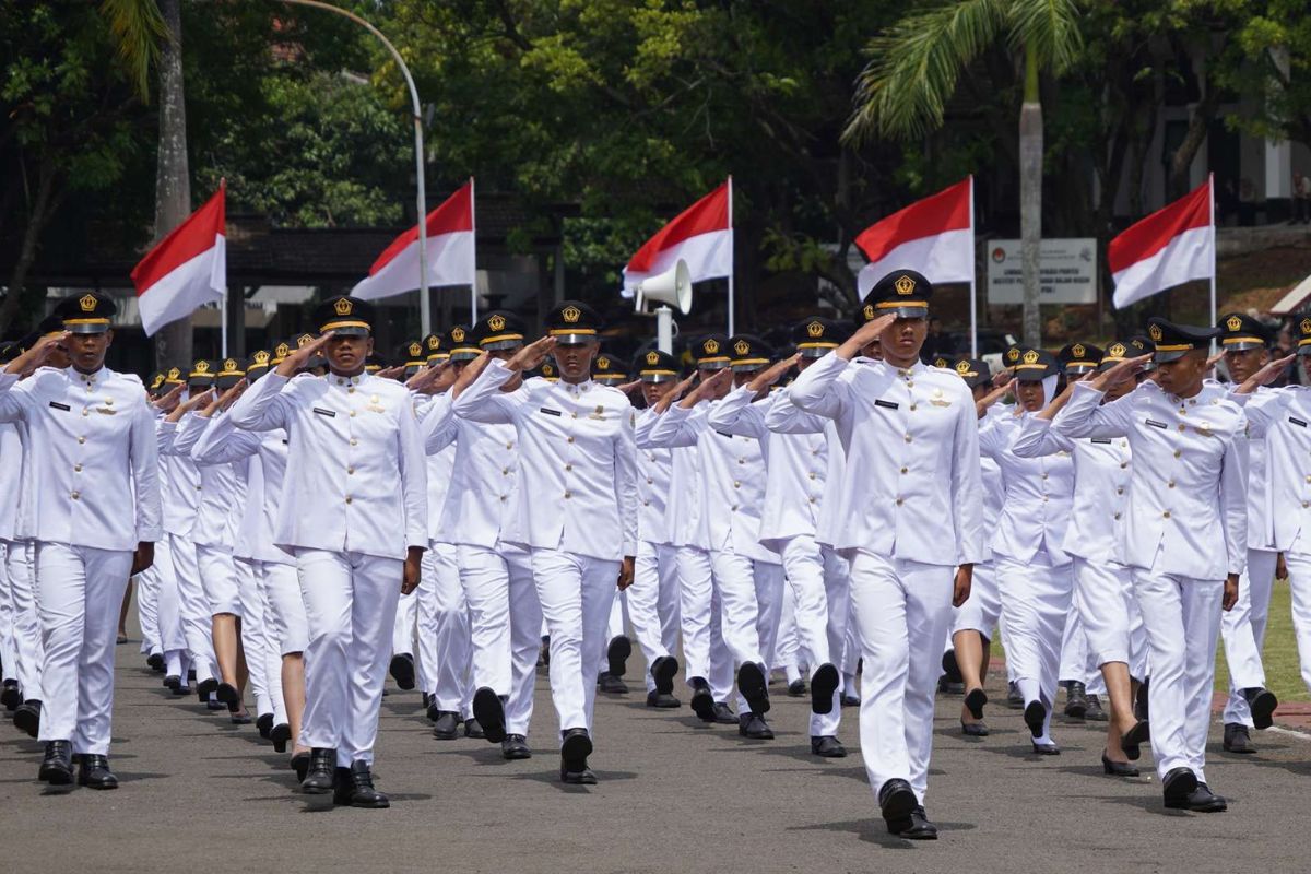 Papua Selatan Kirim 244 Peserta IPDN ke Tahap SKD, Bersaing untuk 12 Kuota