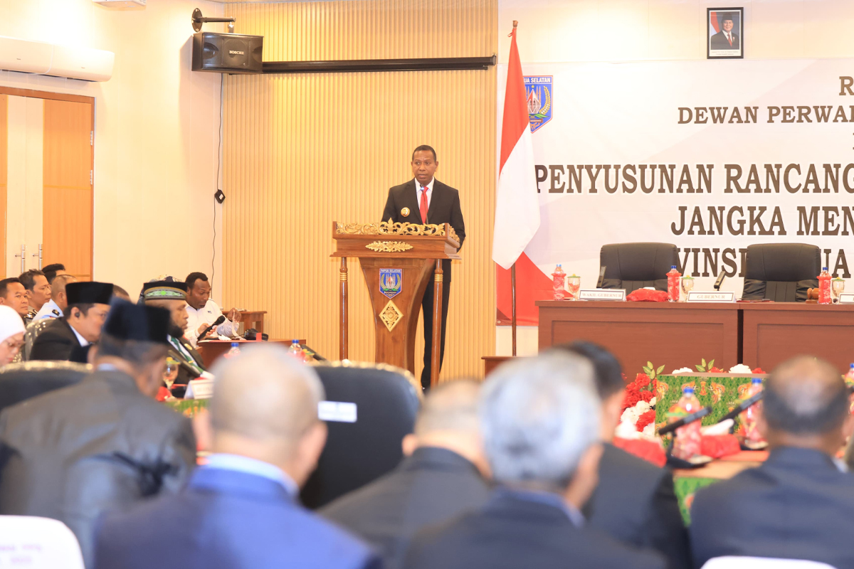 RPJMD Papua Selatan 2025-2029: Peta Jalan Pembangunan Berkelanjutan untuk Masyarakat Bermartabat