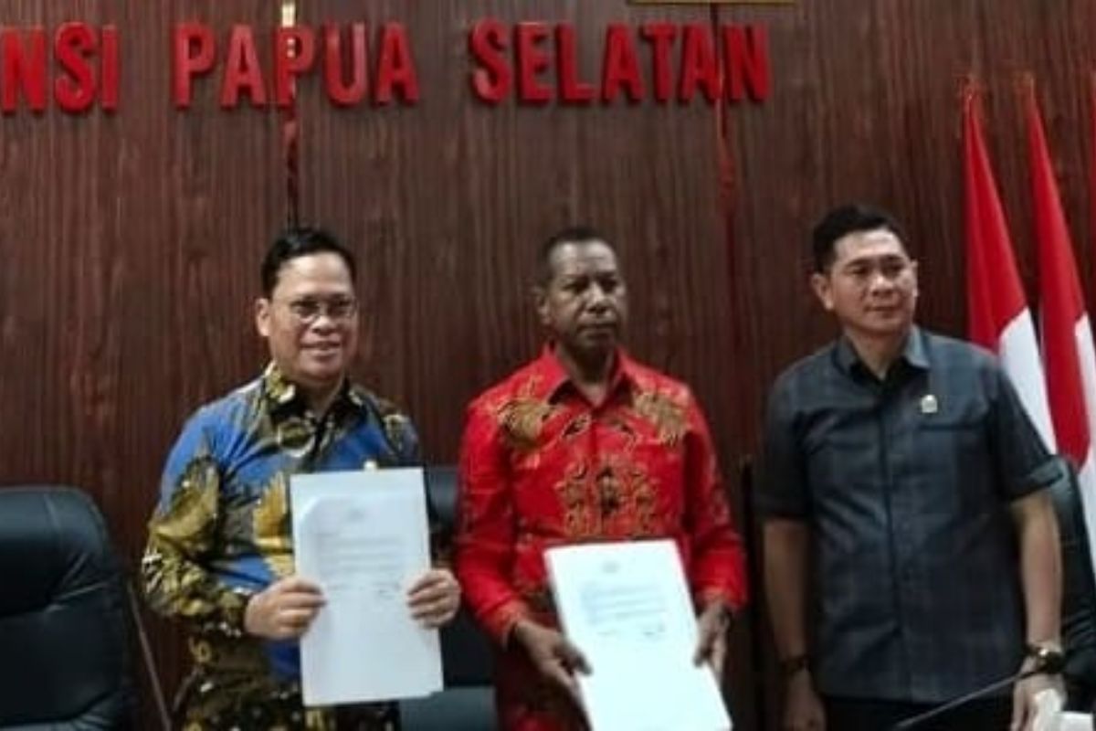 Pemprov Papua Selatan dan DPD RI Sepakat Perkuat Sinergi untuk Percepatan Pembangunan