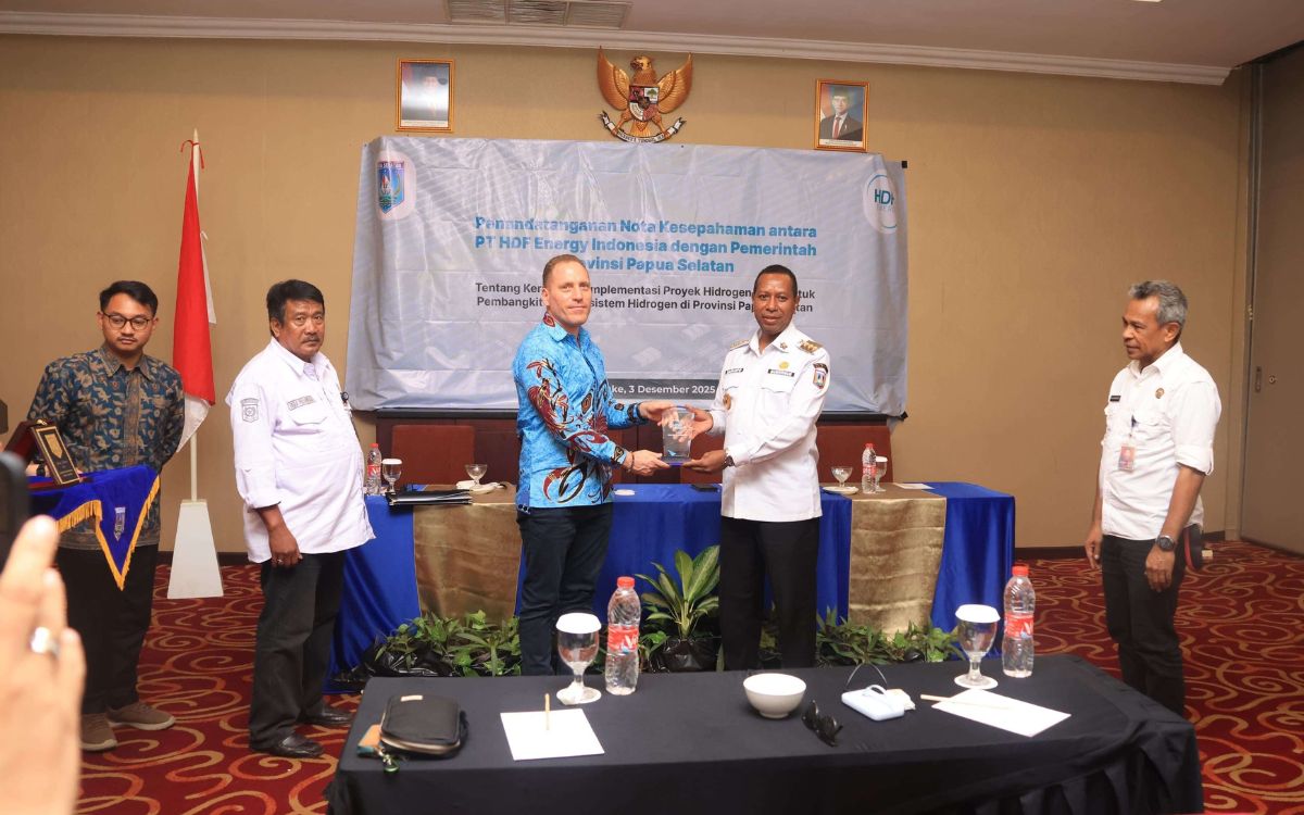 Kerja Sama Pengembangan Energi Terbarukan, Papua Selatan Ambil Langkah Antisipatif