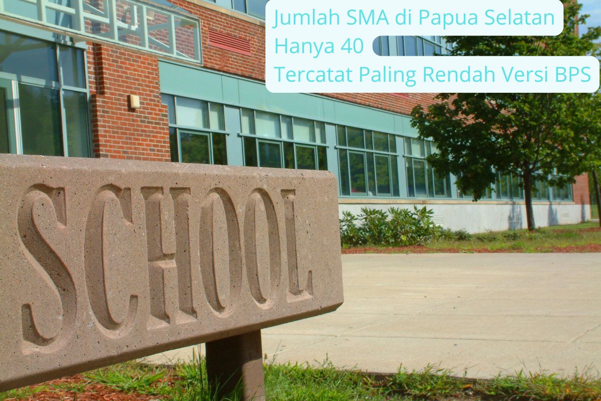BPS Catat Papua Selatan Punya Jumlah SMA Paling Sedikit di Indonesia