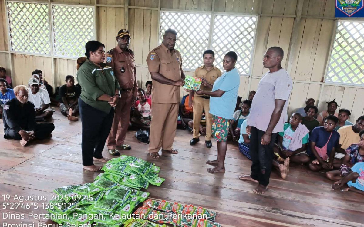 Bibit Sayuran dari Dinas P2KP Papua Selatan Dorong Ketahanan Pangan Warga Asmat