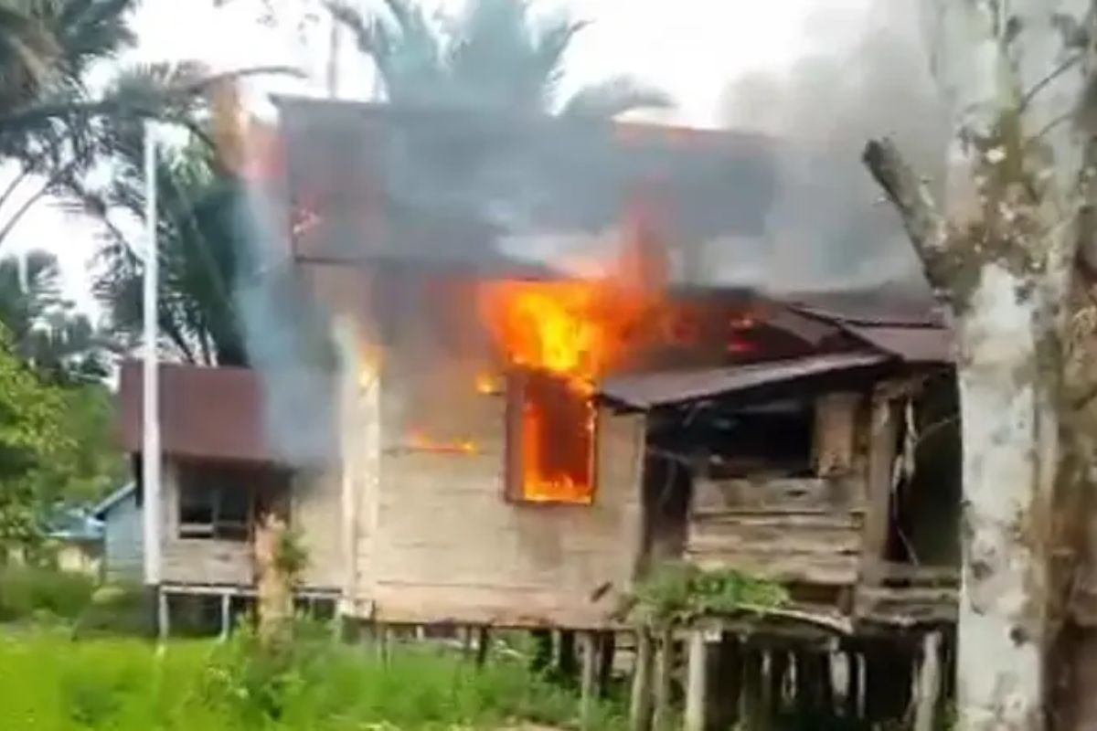 Warga Asmat Tewas Ditembak KKB di Kolf Braza, Rumah Korban Dibakar