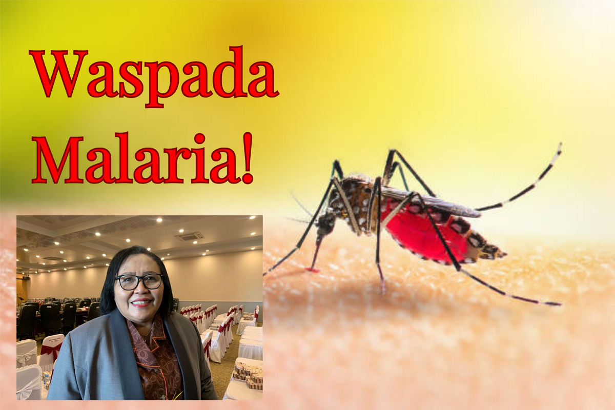 Papua Selatan Sumbang 10 Persen Kasus Malaria di Papua, Tapi Ada Harapan!