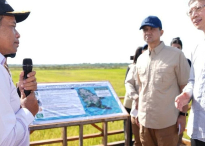 Salor Bersiap Jadi Pusat Riset Padi Internasional, Babak Baru Ketahanan Pangan di Papua Selatan