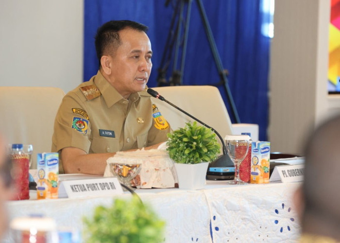 Agenda Kunjungan Wapres Gibran ke Papua, Tinjau Program Nasional di Papua dan Papua Selatan