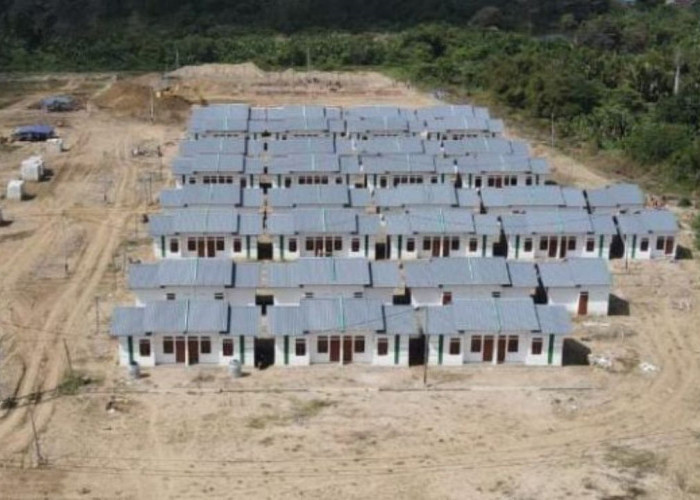 REI Papua Selatan Targetkan 230 Unit Rumah Subsidi di 2026: Peluang Emas bagi MBR