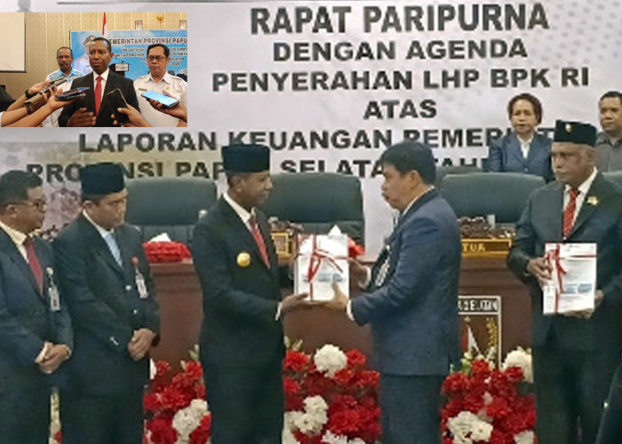 Pengelolaan APBD Papua Selatan 2024 Dapat Predikat WDP dari BPK, Ini Tanggapan Gubernur Apolo