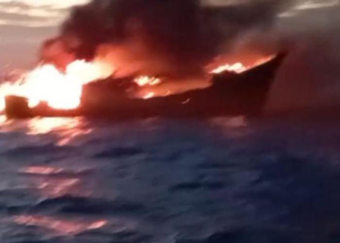 Dramatis! Tim SAR Gabungan Berhasil Evakuasi 26 Awak KM Mekar Alam B yang Terbakar di Merauke