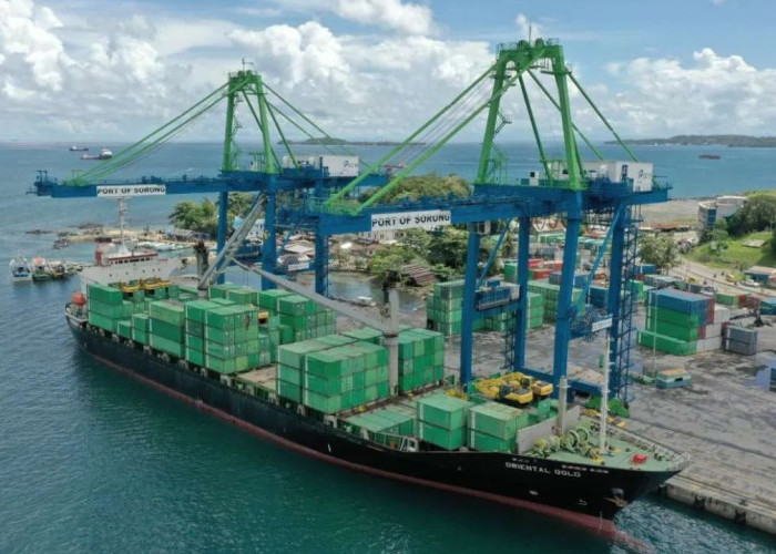 Kemenhub Kucurkan Rp50 Miliar untuk Pelabuhan Wanam, Sokong Swasembada Pangan Papua Selatan