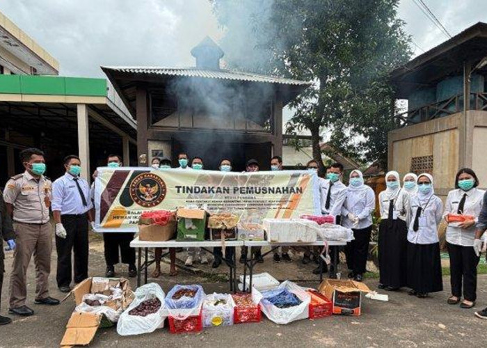 Karantina BKHIT Papua Selatan Musnahkan Kontainer Berisi Buah dan Sayur Rusak di Merauke