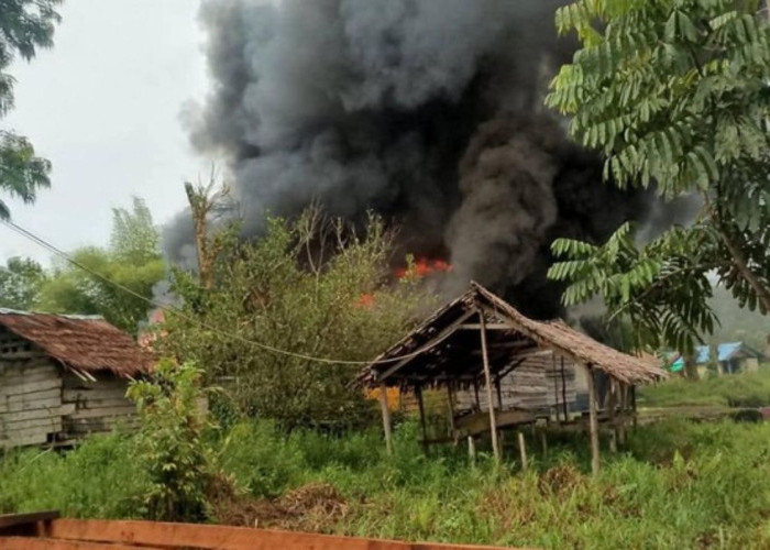 Teror OPM di Asmat, Guru dan Tenaga Kesehatan Tinggalkan Kampung Ulakin