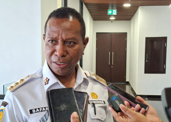 Papua Selatan Terapkan WFH Setiap Jumat Bagi ASN Mulai 10 April, Ini Aturan Lengkapnya
