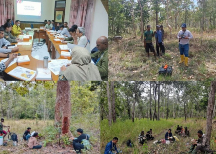 Misteri Si Kecil Tak Bersengat: Mengungkap Keanekaragaman Lebah Endemik di Taman Nasional Wasur, Papua