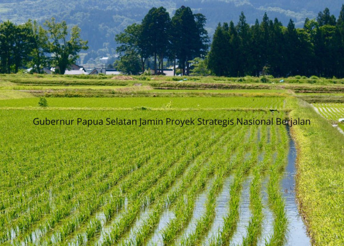 Targetkan 80 Persen Tenaga Kerja Lokal, Gubernur Apolo Safanpo Buka-Bukaan Soal Dampak PSN di Papua Selatan