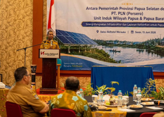 Genjot Sektor Usaha Baru, Pemprov Papua Selatan dan PLN Kerja Sama Amankan Pasokan Listrik