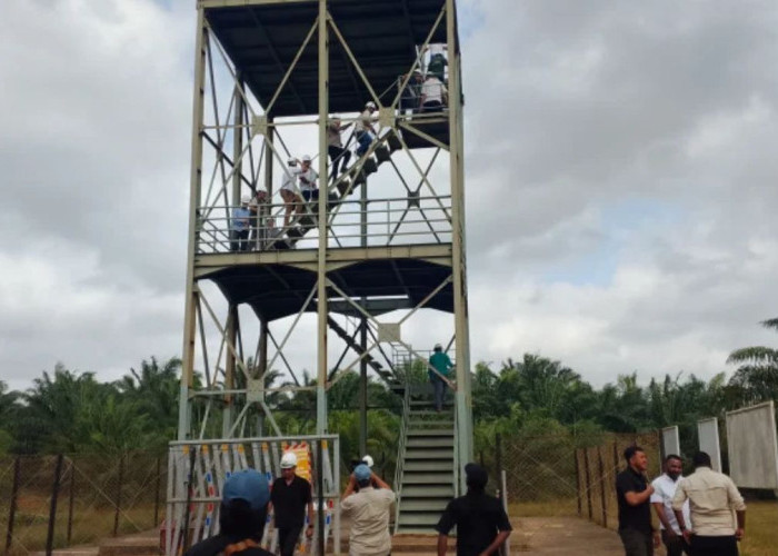Tinjau Menara Pemantau PT BIA, Gubernur Papua Selatan Tekankan Kesiapan Bencana Kebakaran Lahan