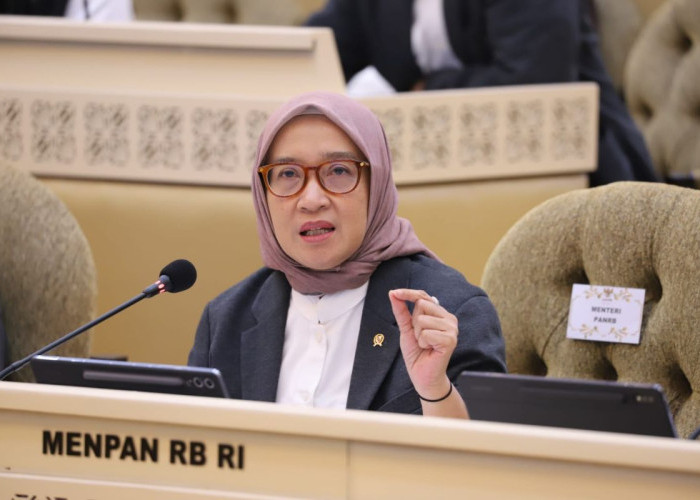 MenPAN-RB Setujui Sisa Kuota CASN Papua Selatan, Pemprov Siap Rekrut ASN Baru
