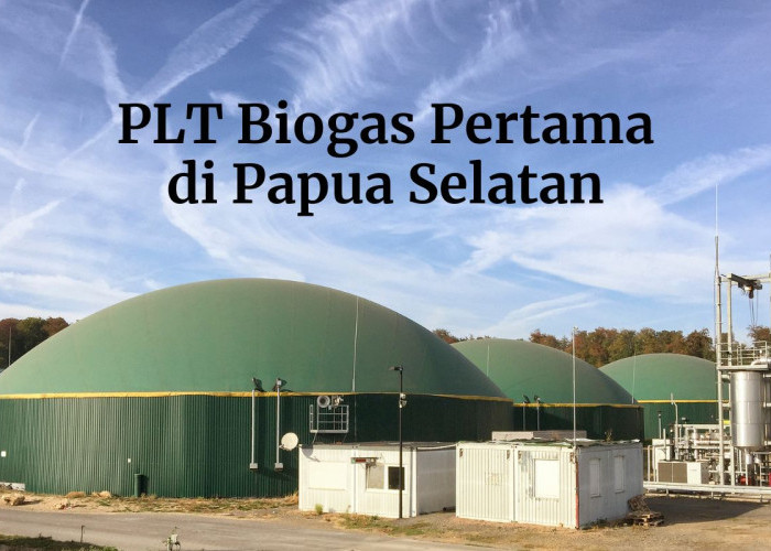 PLT Biogas Pertama di Papua Selatan Diresmikan, Dorong Transisi Energi Ramah Lingkungan