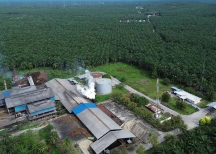 Agrinas Palma Petakan 400 Ribu Hektare Kawasan Pangan Papua Selatan Berbasis Hak Masyarakat Adat