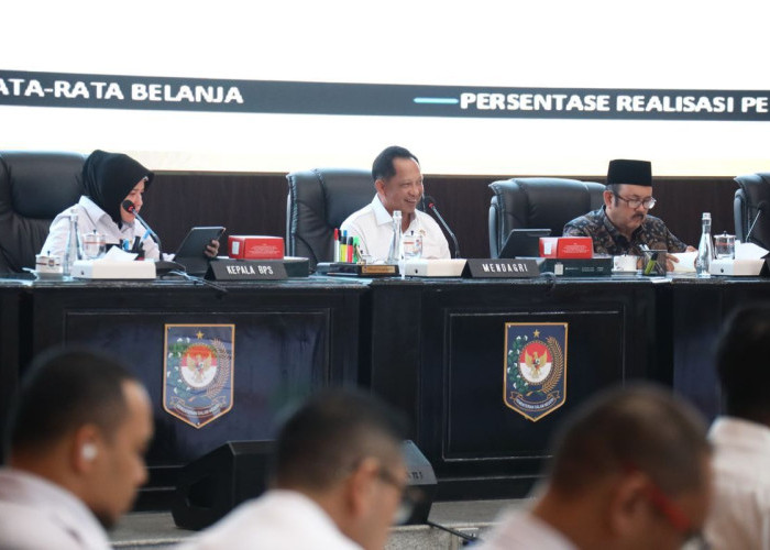 Tito Minta Papua Selatan dan Dua Provinsi Baru Percepat Belanja Daerah