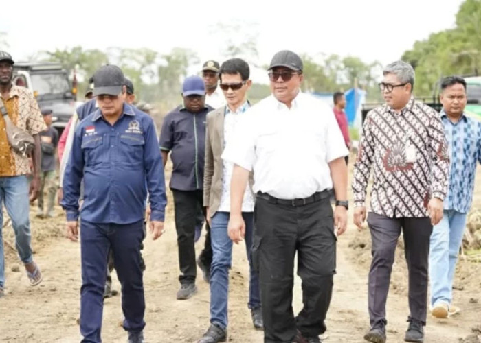 Food Estate Merauke Dipantau DPD RI: Prioritaskan Keberlanjutan dan Kepentingan Warga Papua