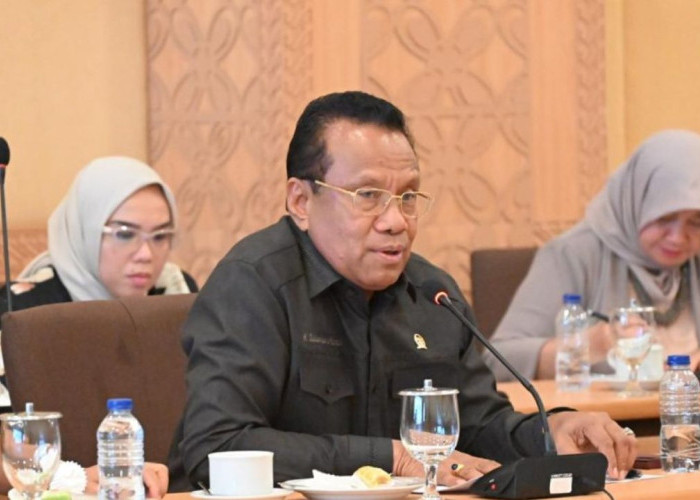 Pangan Nasional Terancam Karhutla Papua Selatan, Sulaeman L. Hamzah Desak Mitigasi Khusus
